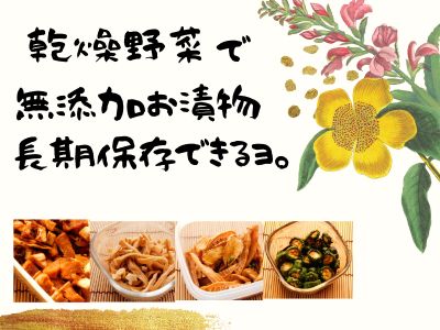 お漬物レシピ 乾燥野菜でお漬物を作れば 保存期間ものび 味もよくなる 大根 しょうが タケノコ きゅうり おったろう雑記ブログ