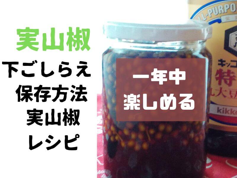 実山椒の下ごしらえ方法 実山椒を使ったレシピもご紹介 一年に一度処理しておけば一年中シビれを楽しめる おったろう雑記ブログ