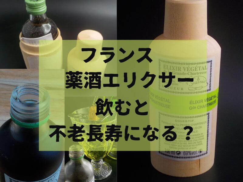 レビュー記事】シャルトリューズ エリキシル ヴェジェタル 69度 100mlを飲んだ感想記事 不老長寿の薬酒！？ | おったろう雑記ブログ